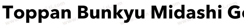 Toppan Bunkyu Midashi Go StdN字体转换